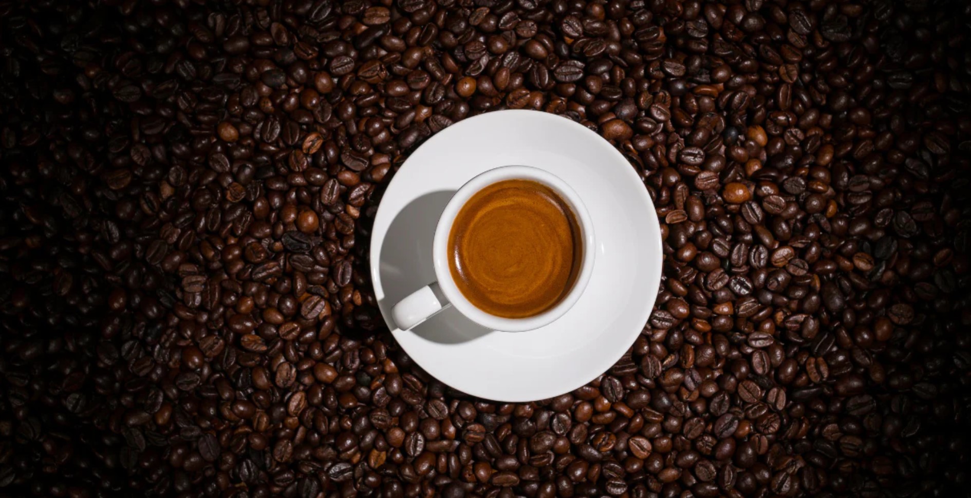 The Art of Espresso: From Ristretto to Lungo - Mastering the Shots